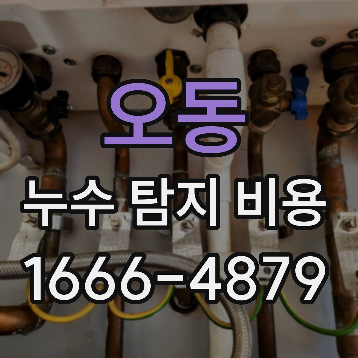 오동 누수 탐지 비용