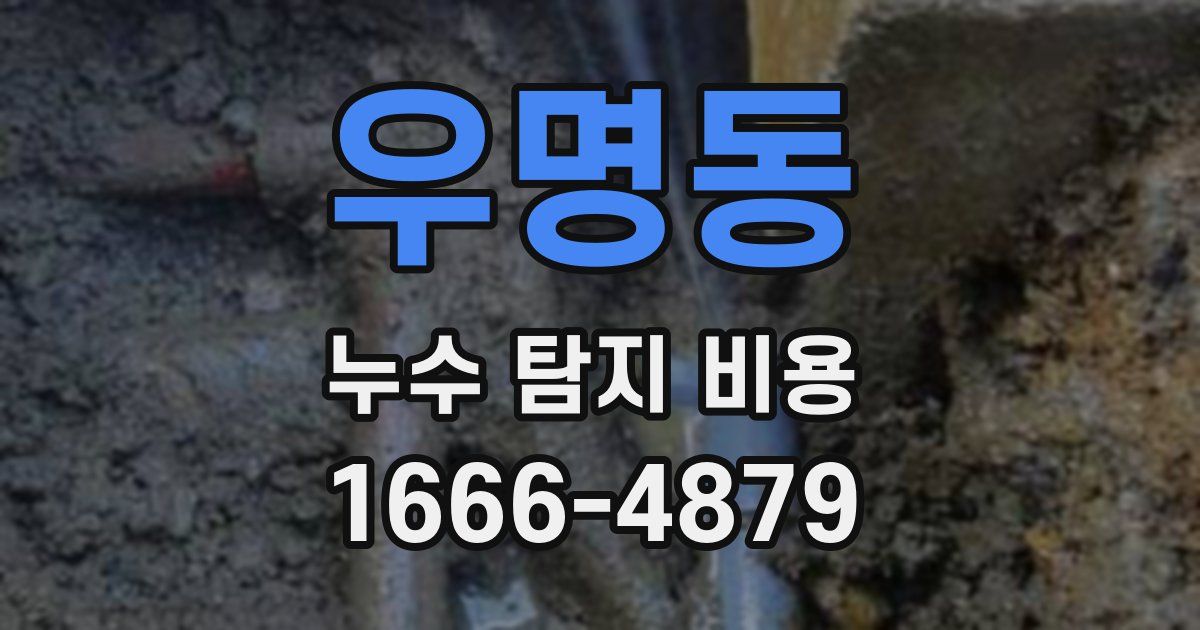 우명동 누수 탐지 비용