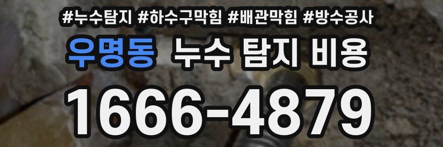우명동 누수 탐지 비용