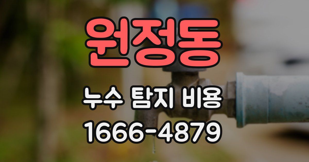 원정동 누수 탐지 비용