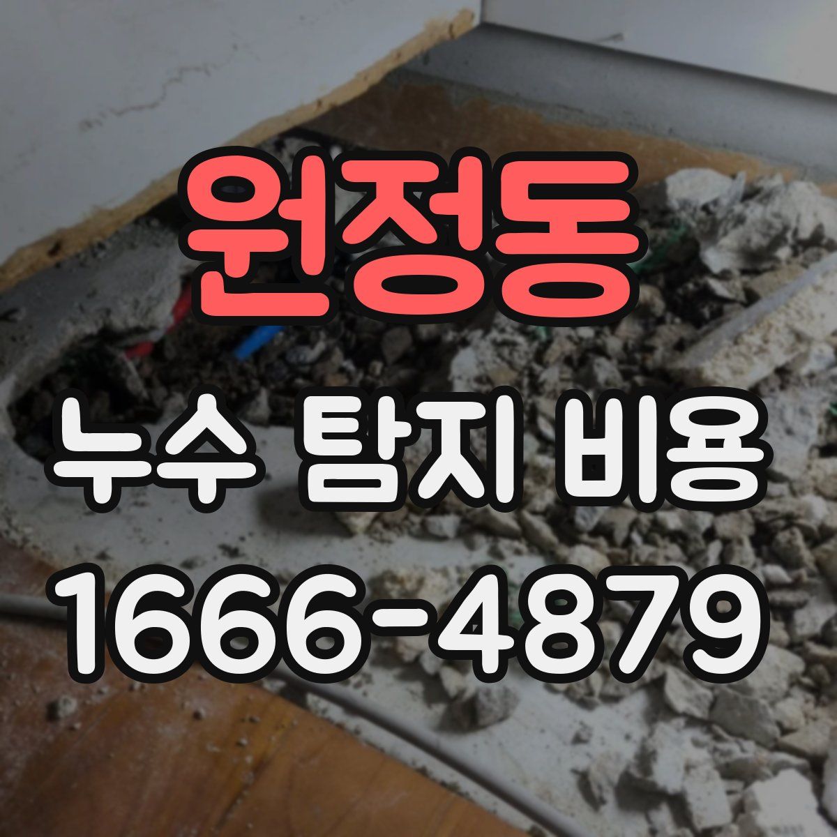 원정동 누수 탐지 비용
