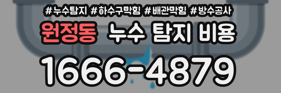 원정동 누수 탐지 비용