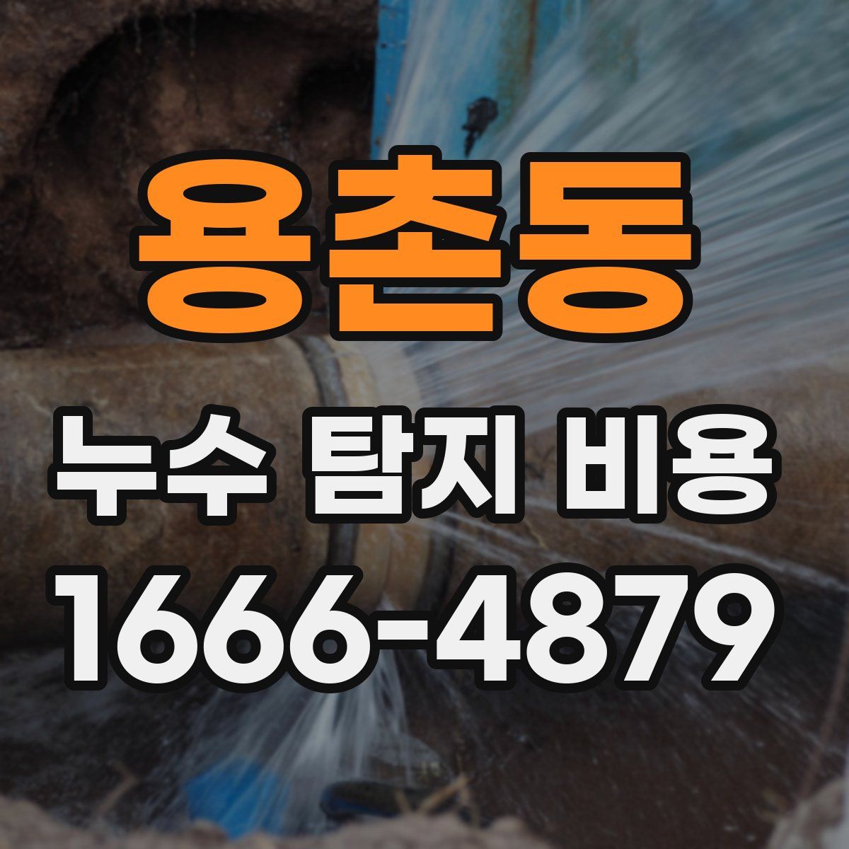 용촌동 누수 탐지 비용