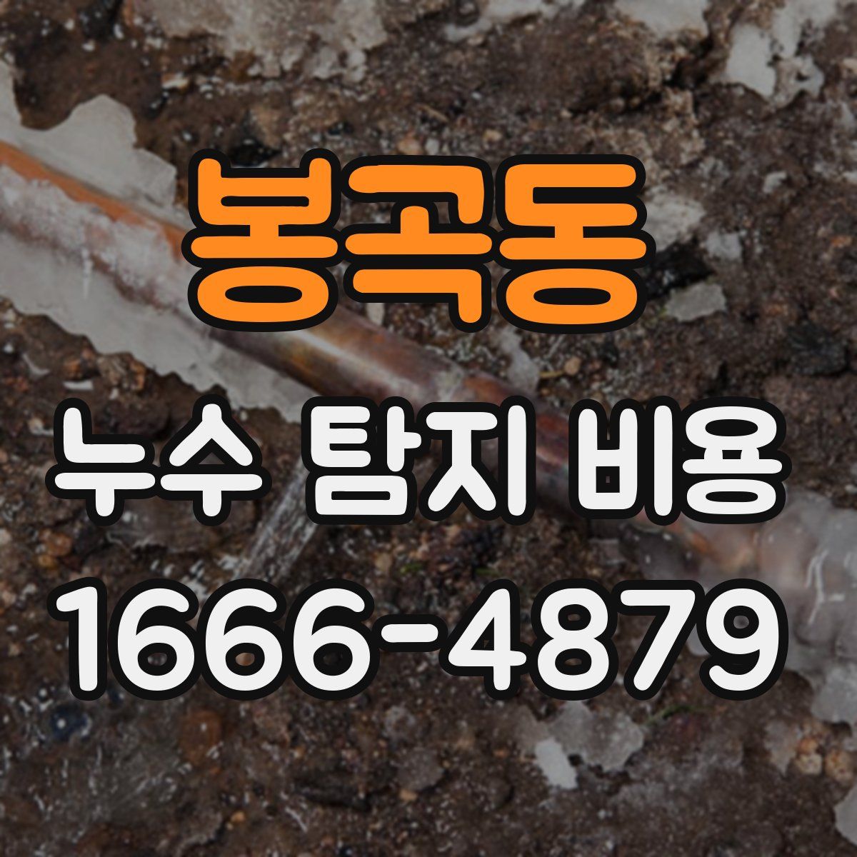 봉곡동 누수 탐지 비용
