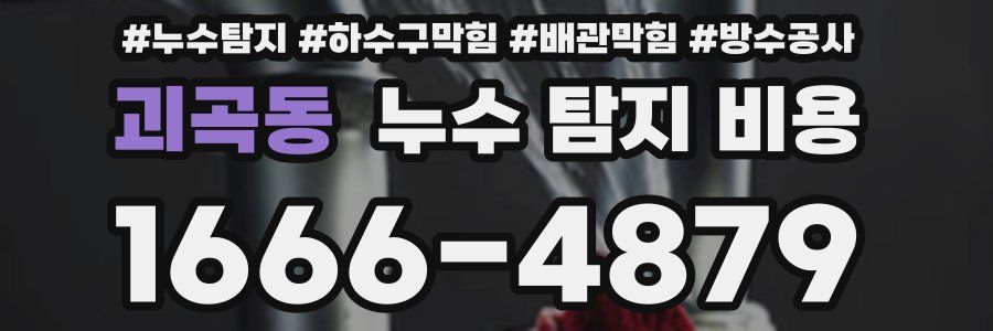 괴곡동 누수 탐지 비용
