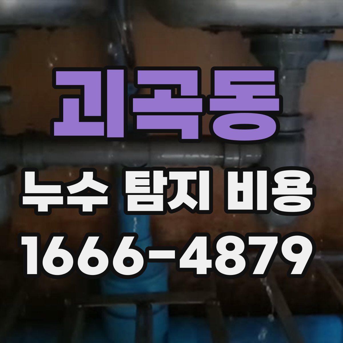 괴곡동 누수 탐지 비용
