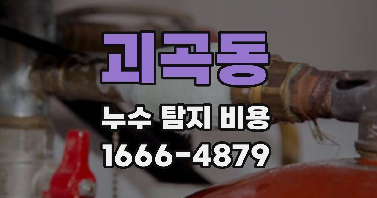 괴곡동 누수 탐지 비용