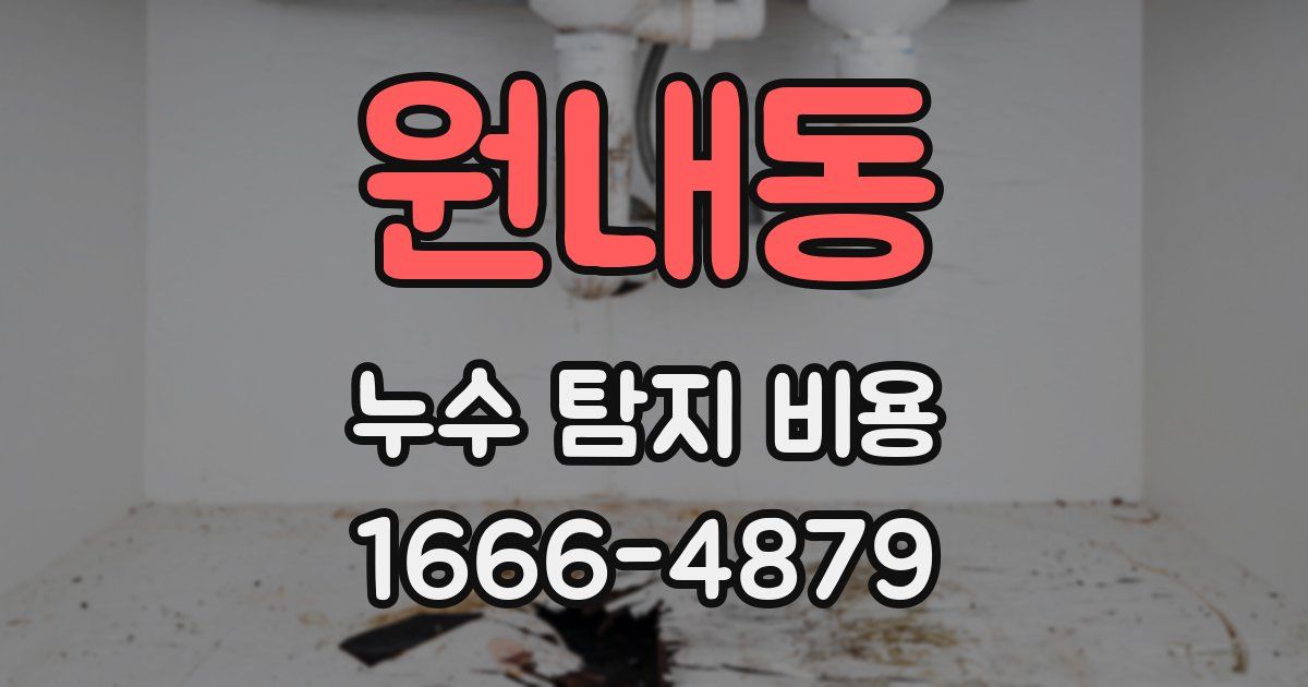원내동 누수 탐지 비용