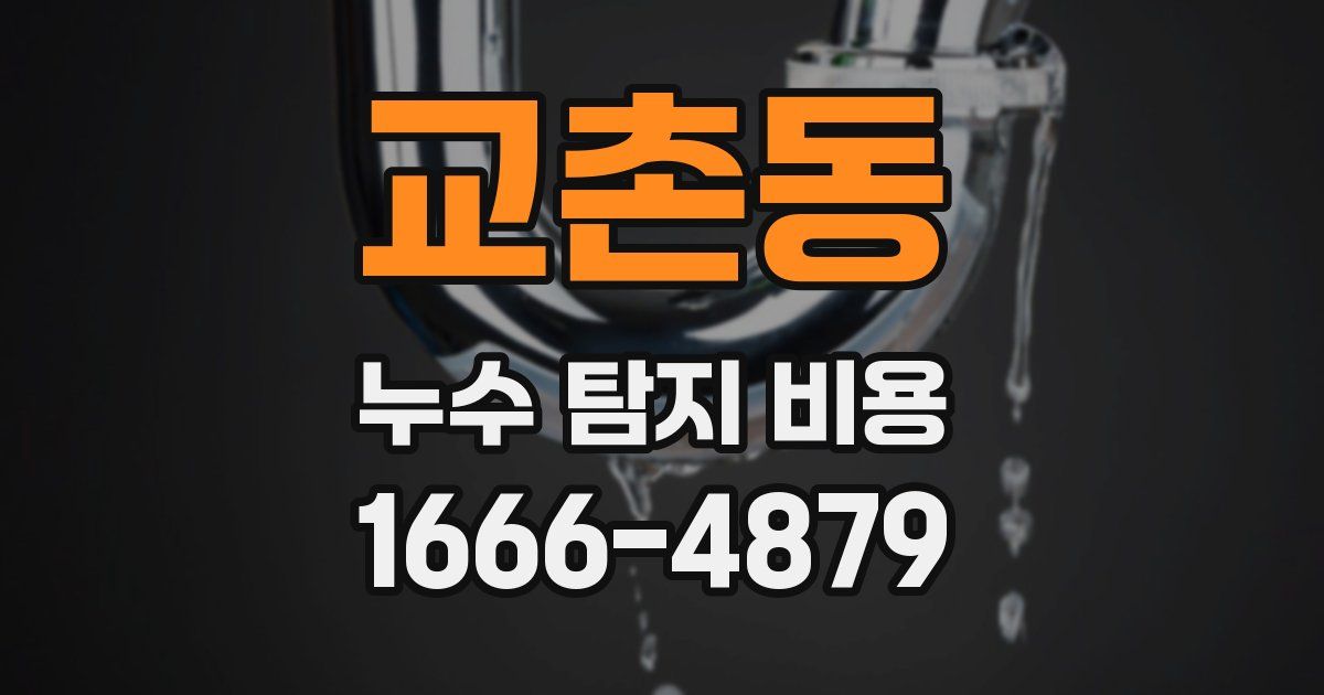교촌동 누수 탐지 비용