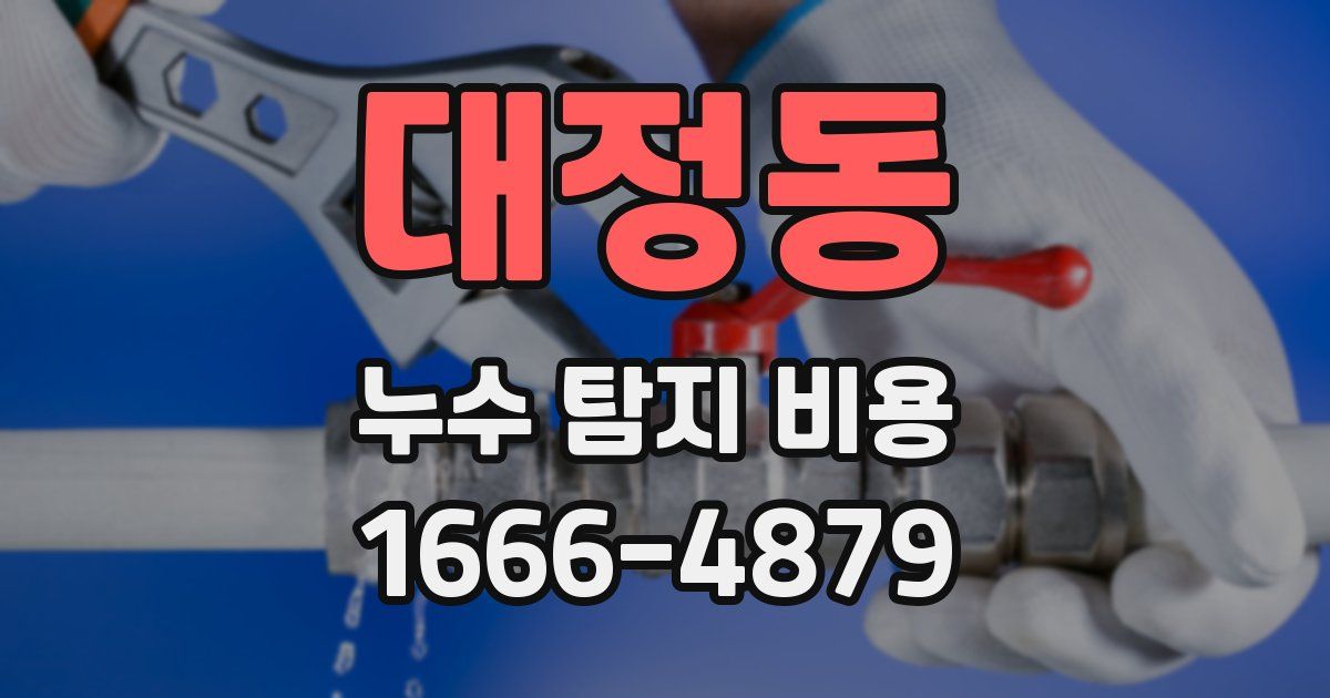 대정동 누수 탐지 비용