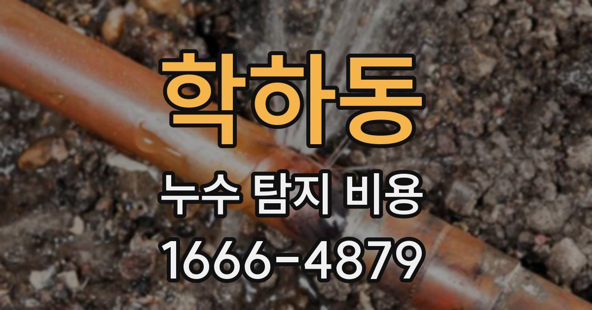 학하동 누수 탐지 비용