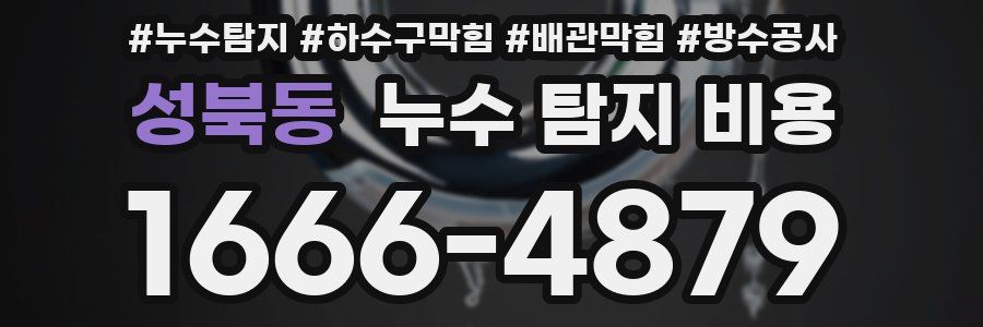 성북동 누수 탐지 비용