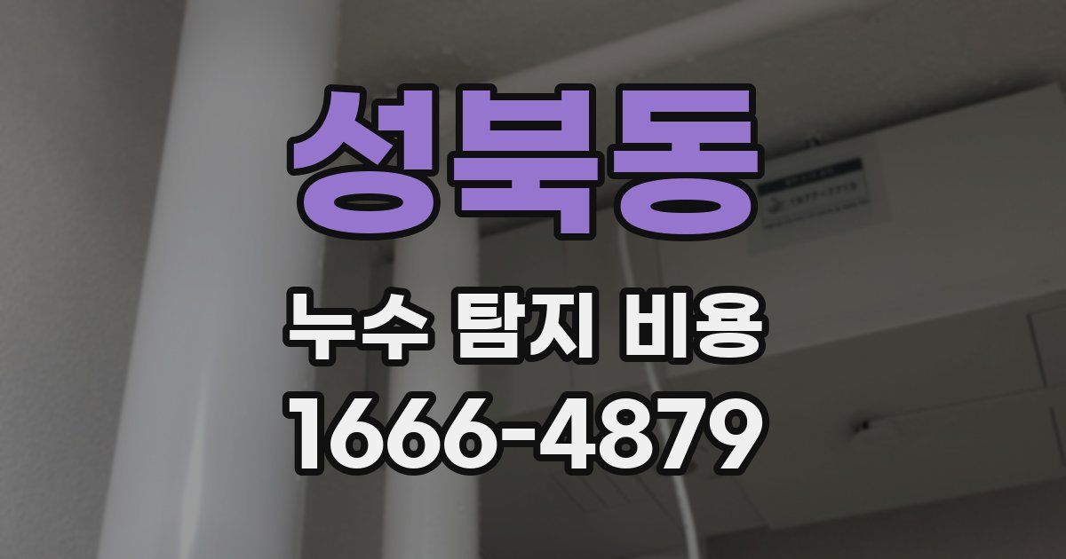 성북동 누수 탐지 비용