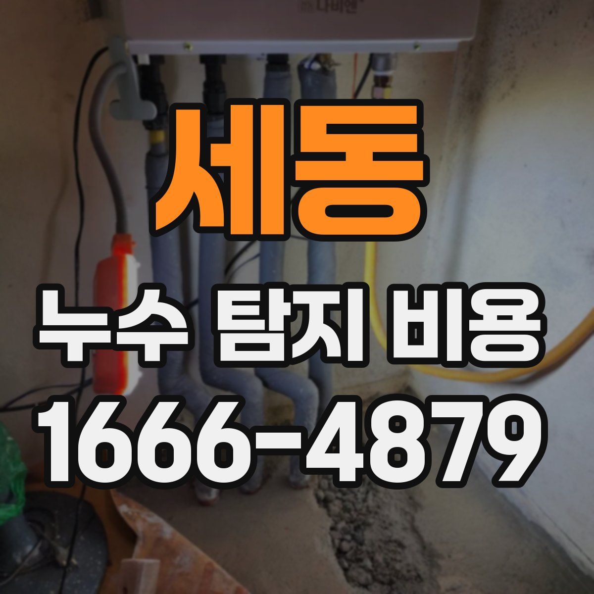 세동 누수 탐지 비용