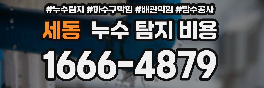 세동 누수 탐지 비용