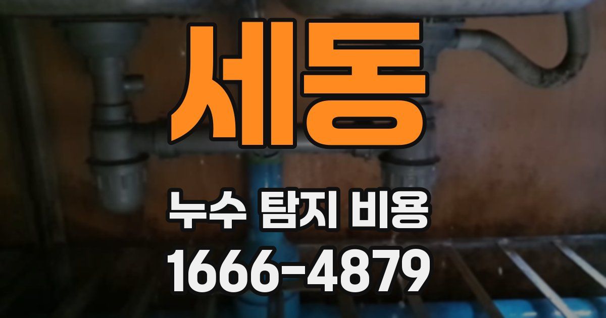세동 누수 탐지 비용