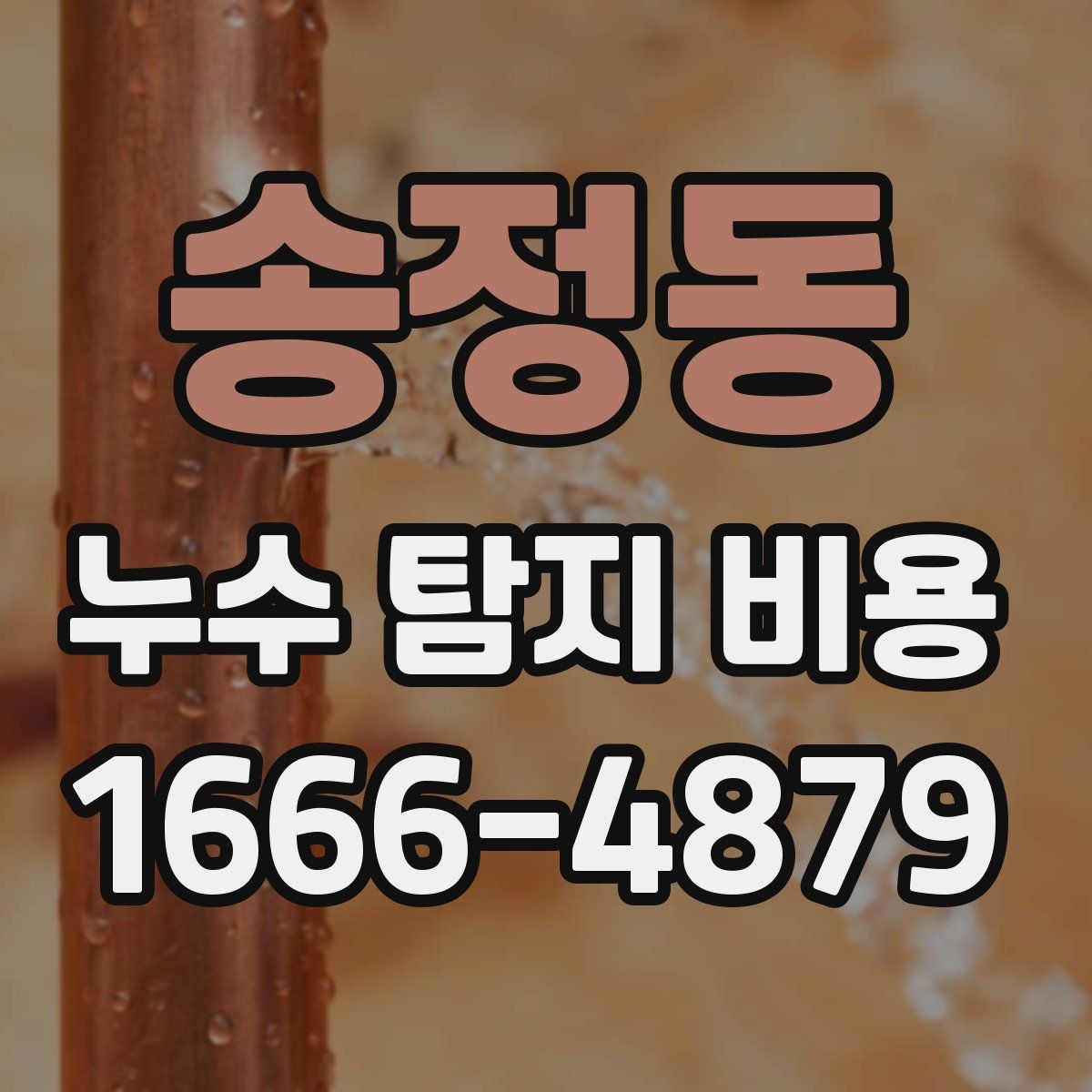 송정동 누수 탐지 비용