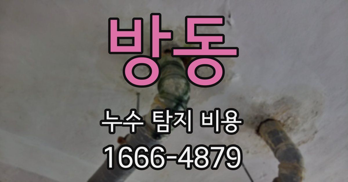 방동 누수 탐지 비용