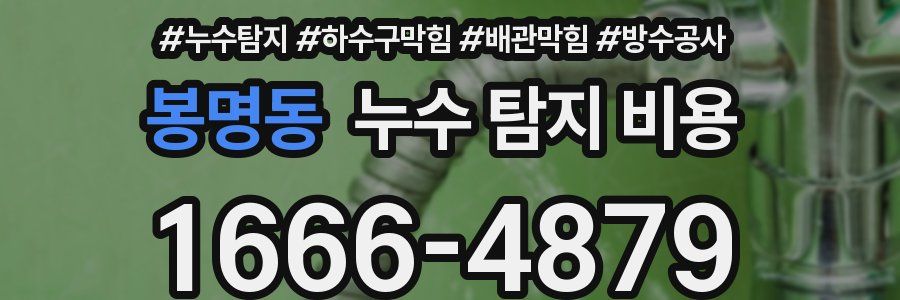 봉명동 누수 탐지 비용