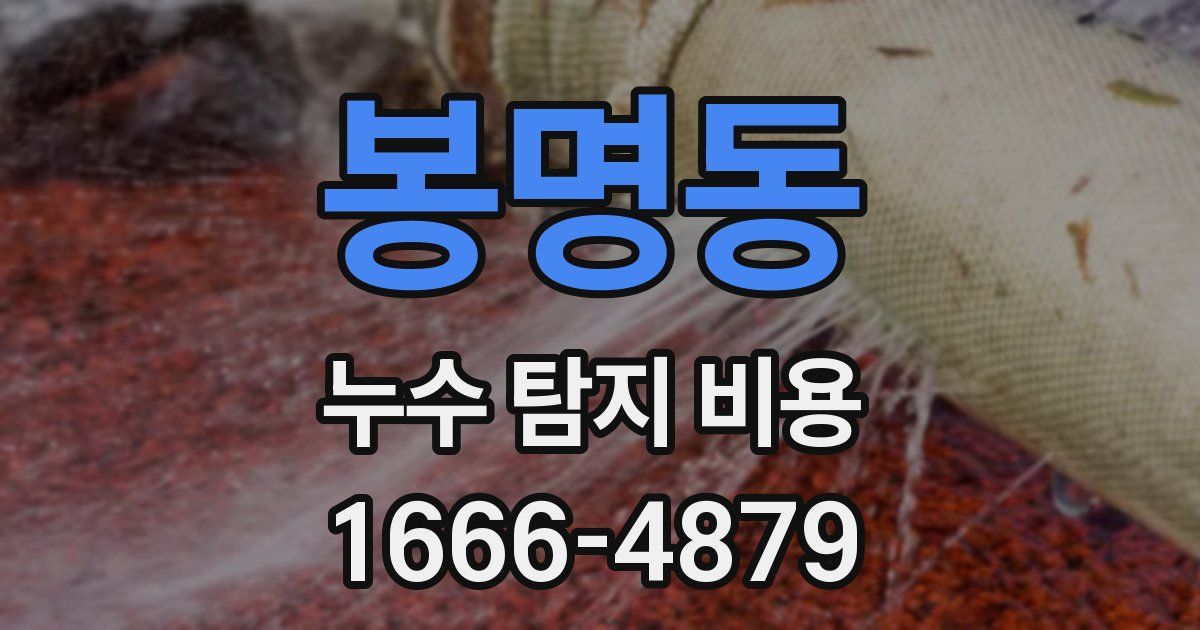봉명동 누수 탐지 비용