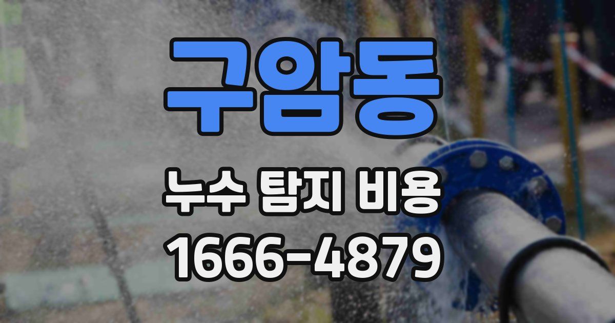 구암동 누수 탐지 비용