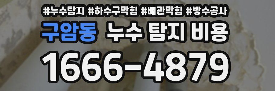 구암동 누수 탐지 비용