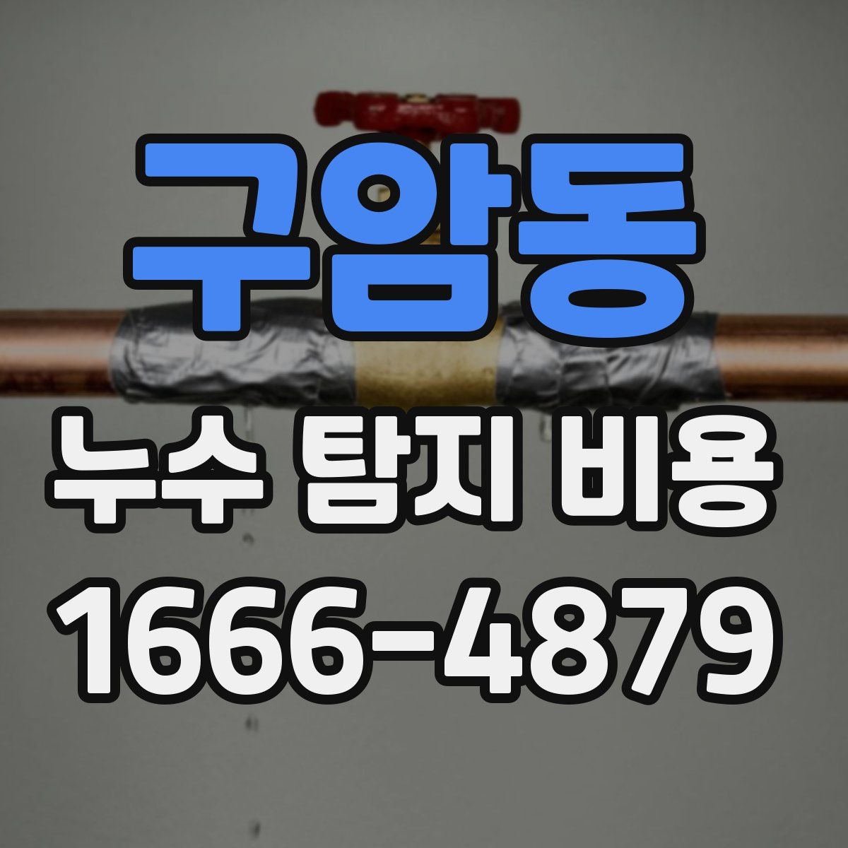 구암동 누수 탐지 비용
