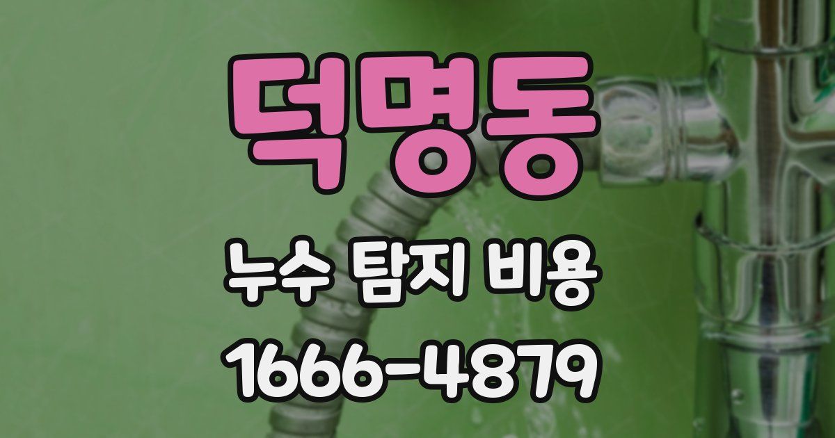 덕명동 누수 탐지 비용