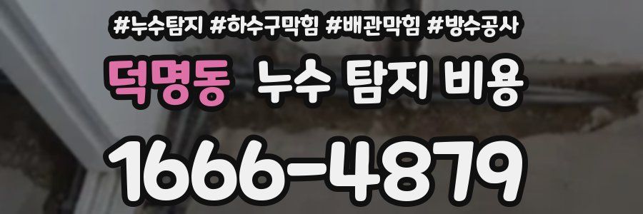 덕명동 누수 탐지 비용
