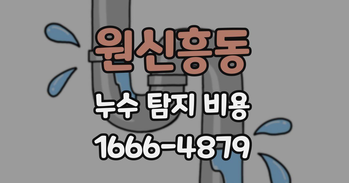 원신흥동 누수 탐지 비용