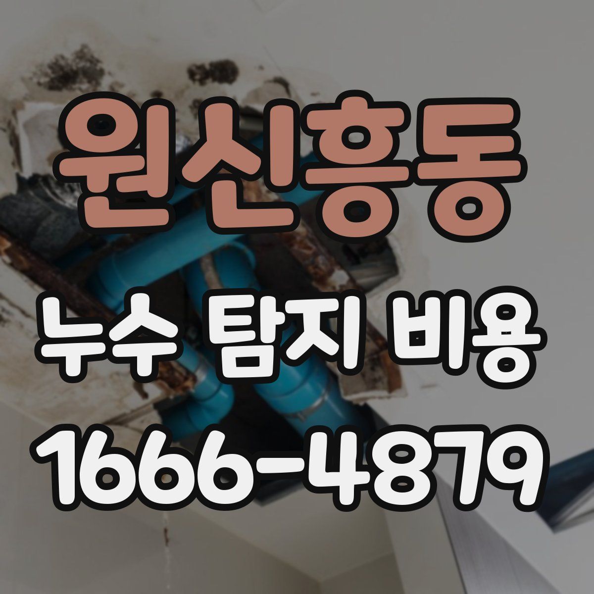 원신흥동 누수 탐지 비용