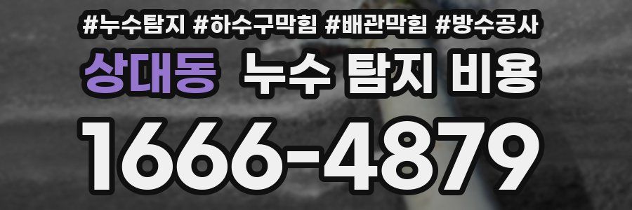 상대동 누수 탐지 비용