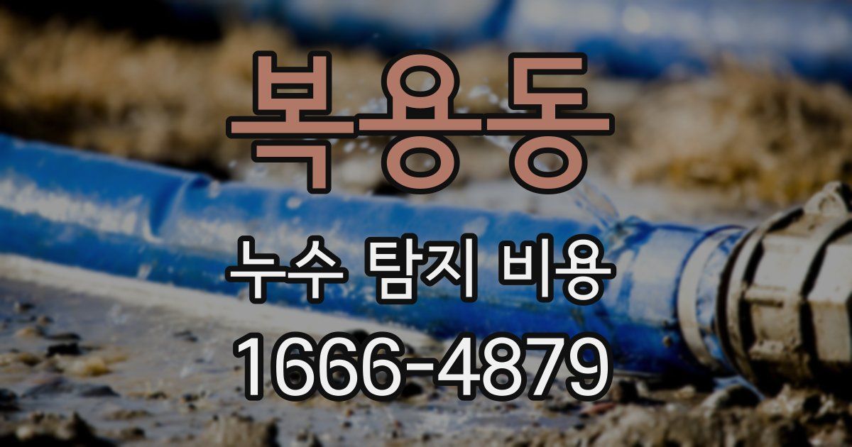 복용동 누수 탐지 비용