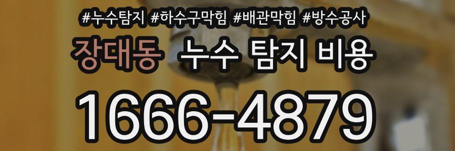 장대동 누수 탐지 비용