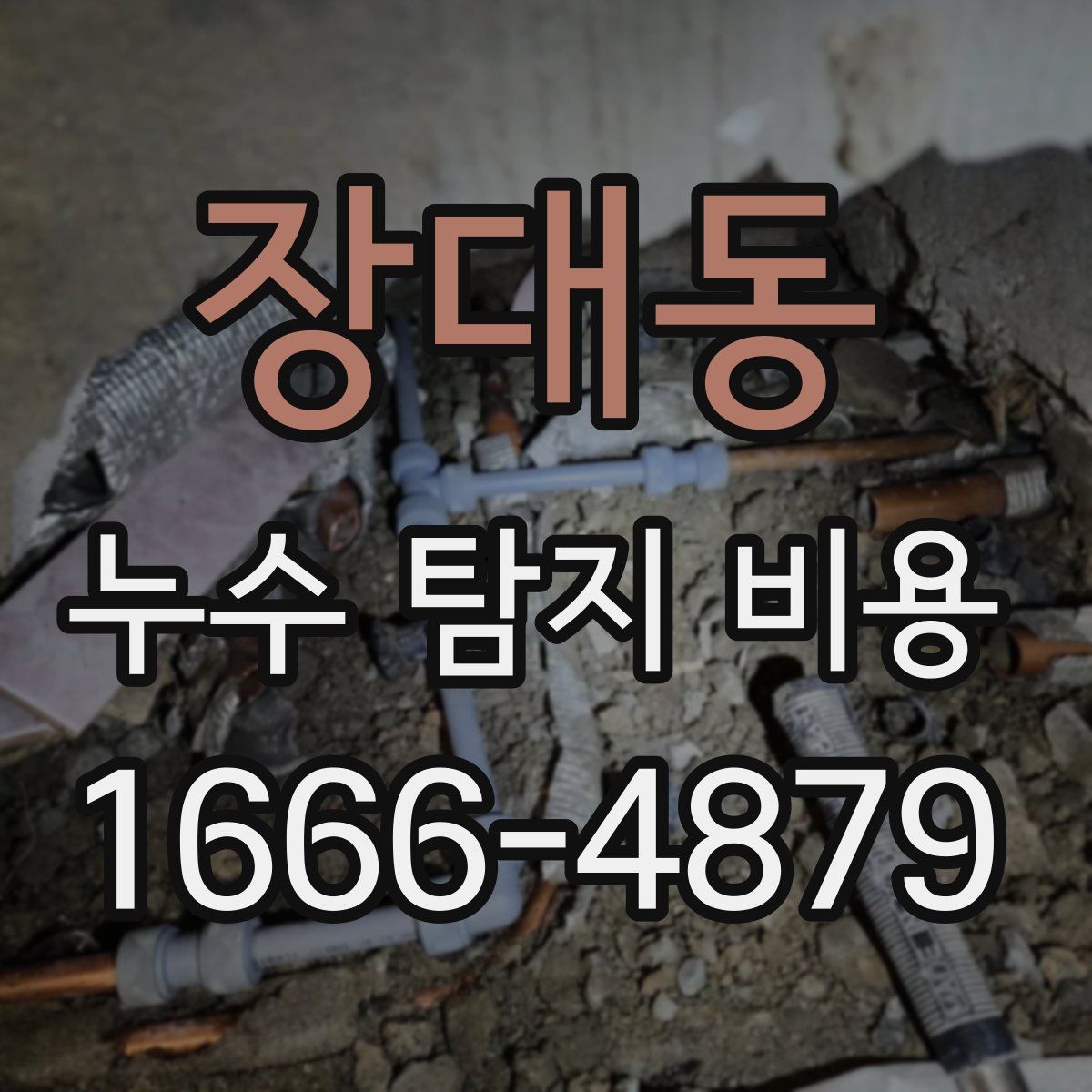 장대동 누수 탐지 비용