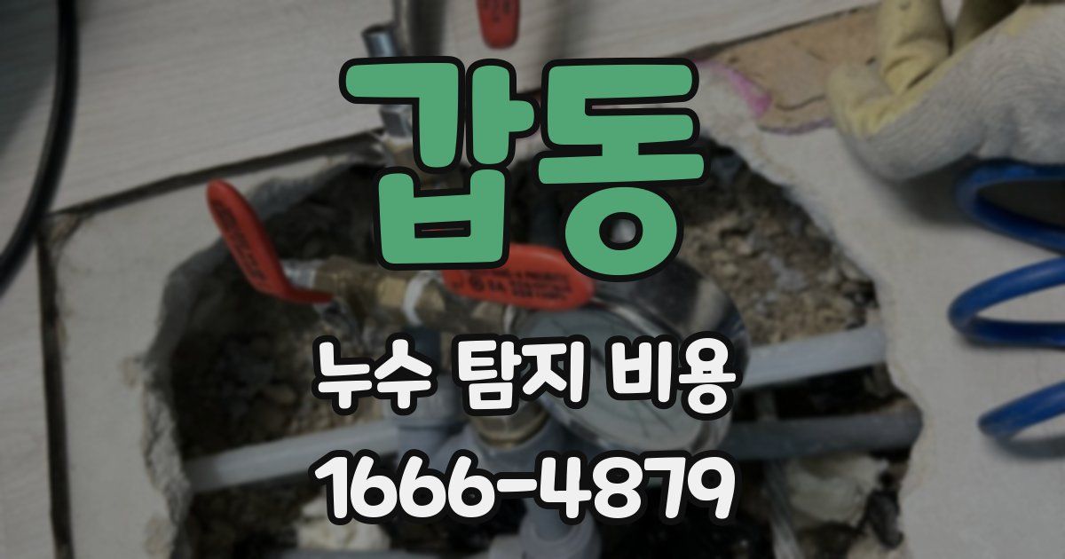 갑동 누수 탐지 비용