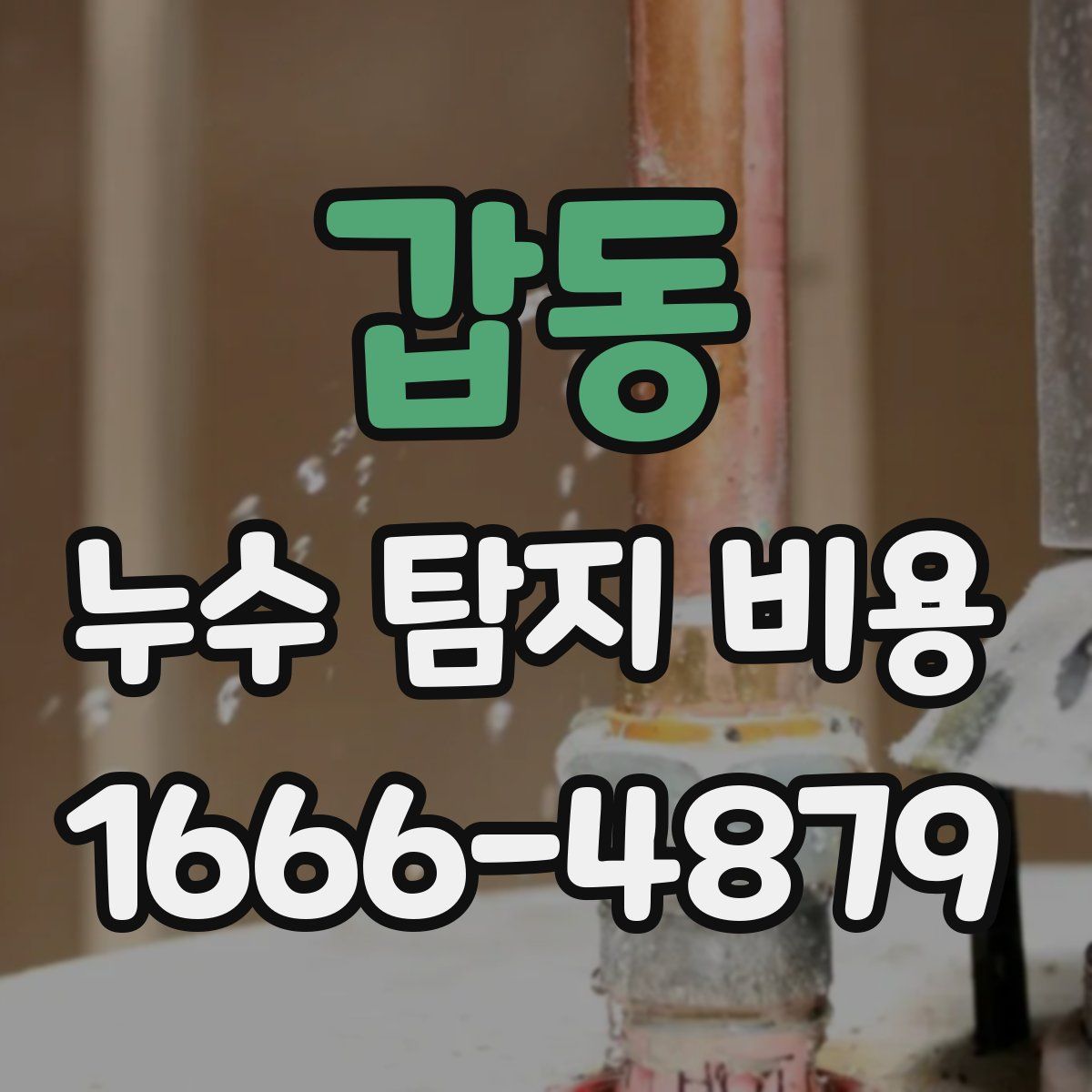 갑동 누수 탐지 비용