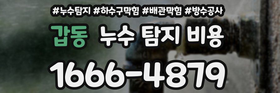 갑동 누수 탐지 비용