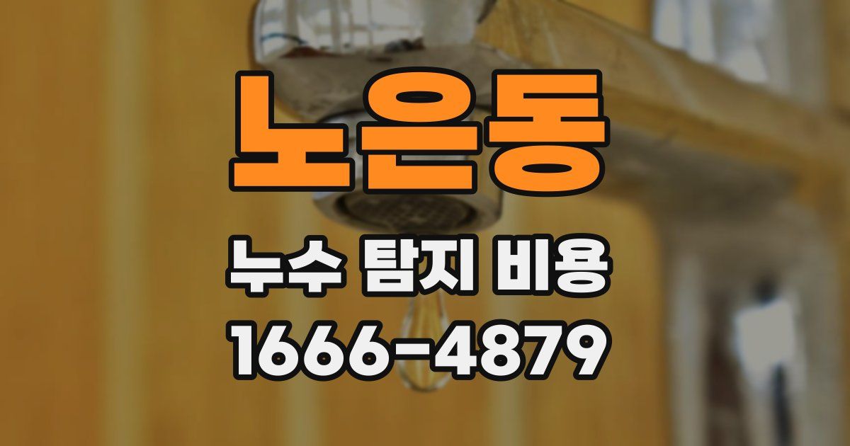 노은동 누수 탐지 비용