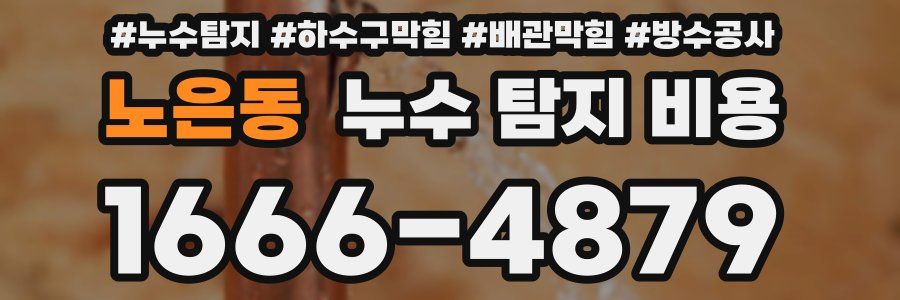 노은동 누수 탐지 비용