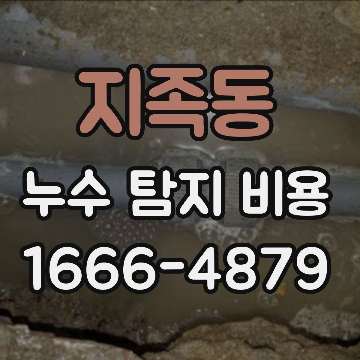 지족동 누수 탐지 비용