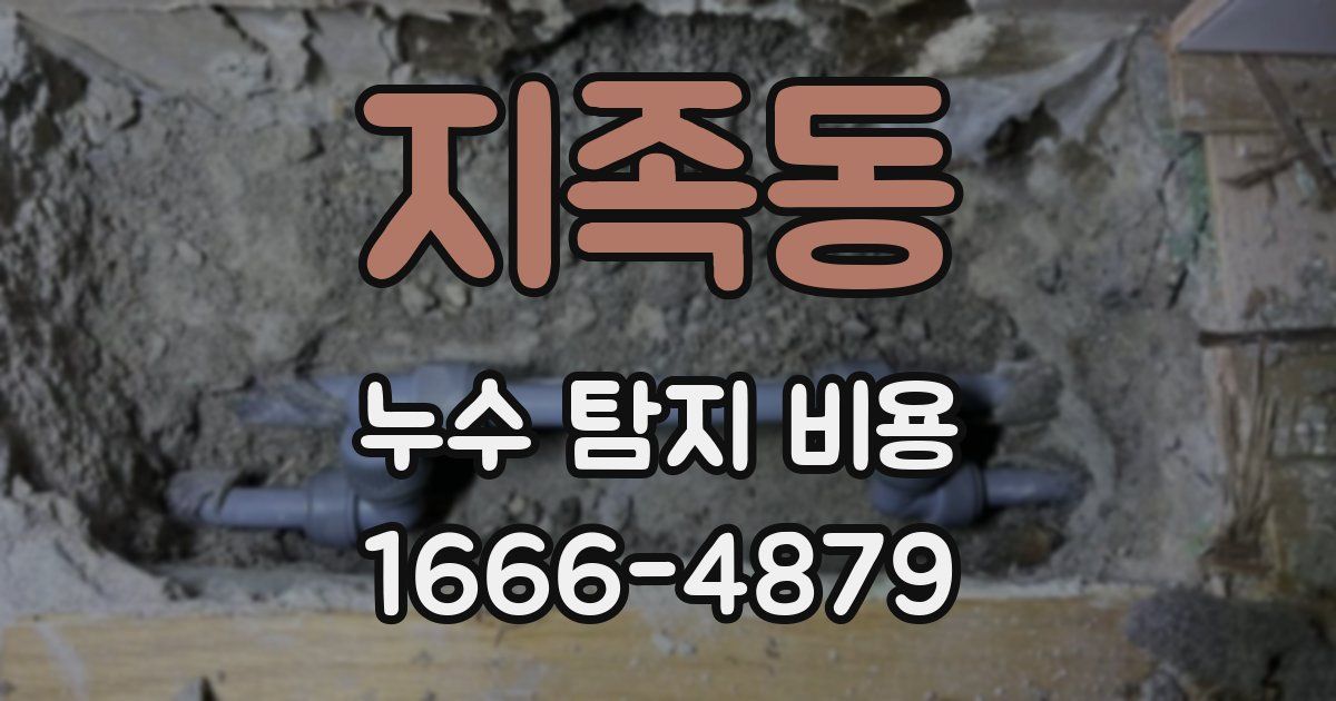 지족동 누수 탐지 비용