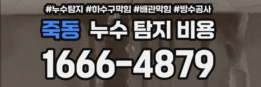 죽동 누수 탐지 비용