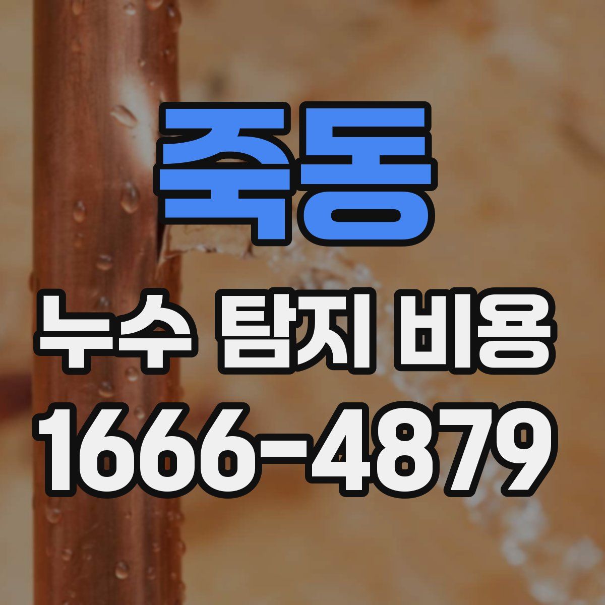 죽동 누수 탐지 비용