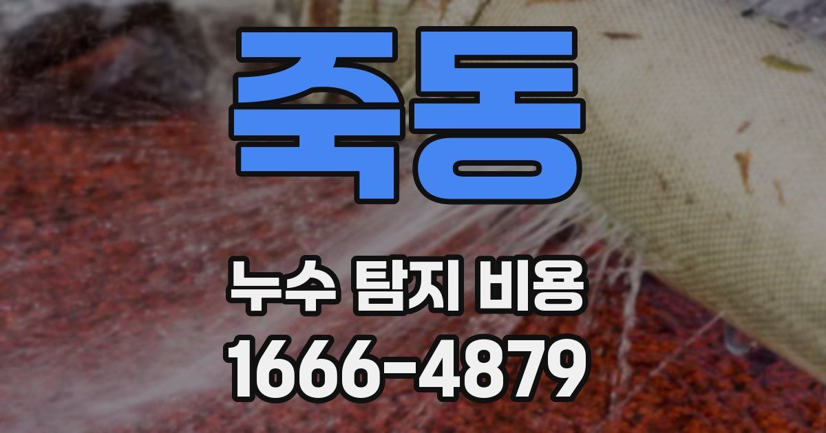 죽동 누수 탐지 비용