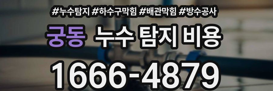 궁동 누수 탐지 비용