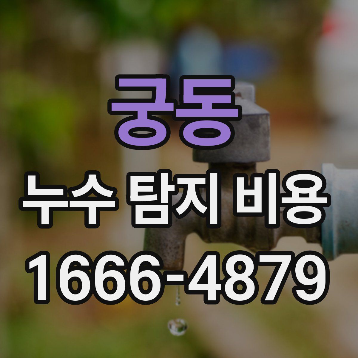 궁동 누수 탐지 비용