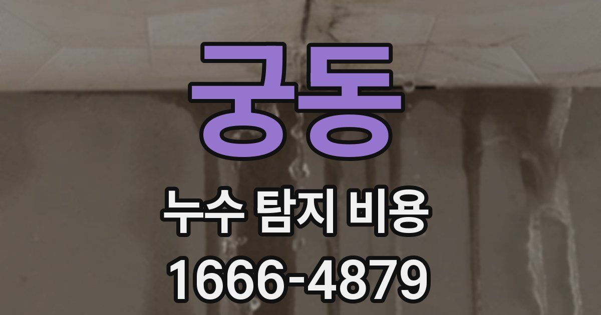 궁동 누수 탐지 비용