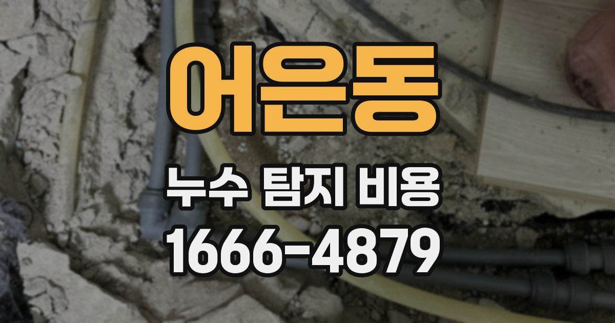 어은동 누수 탐지 비용