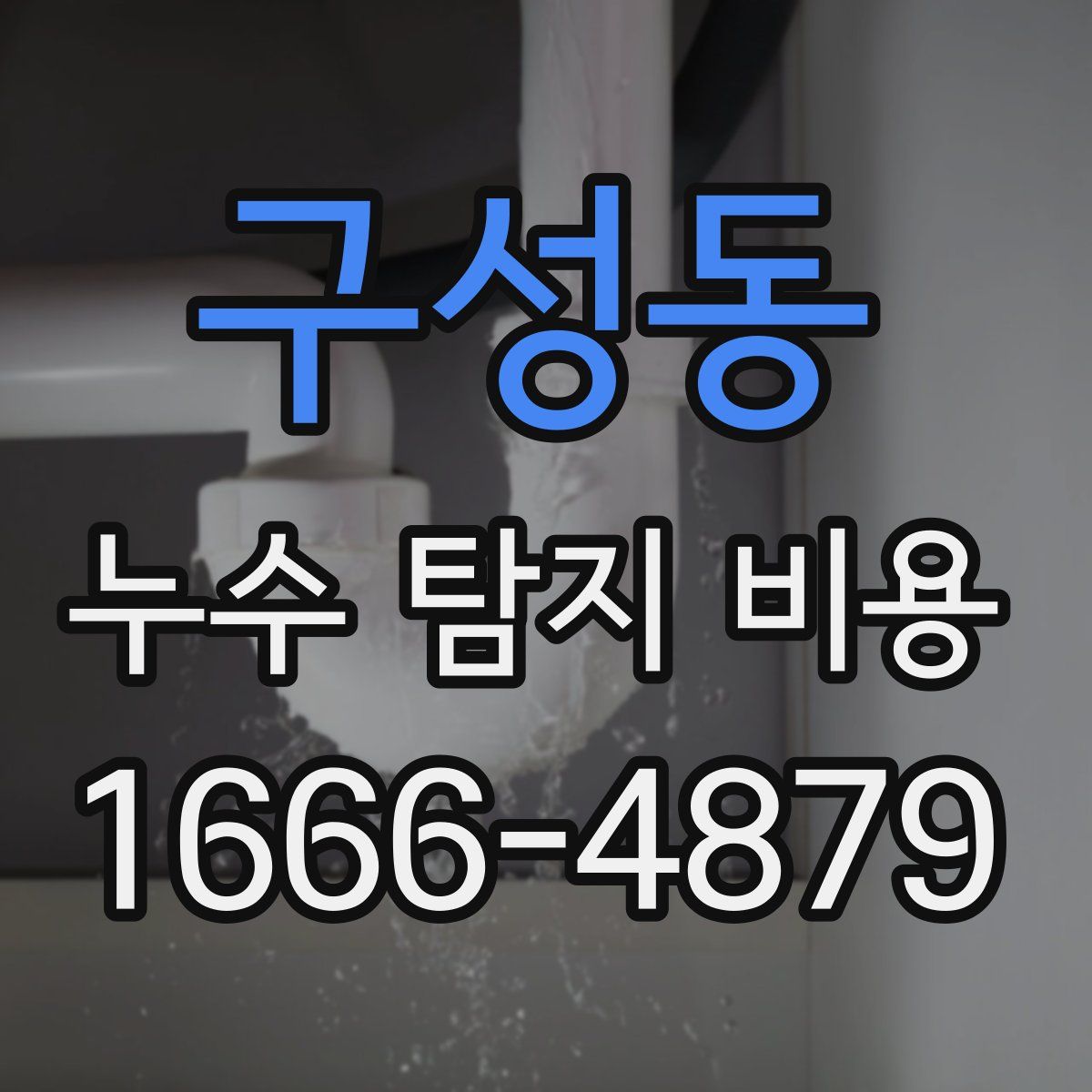 구성동 누수 탐지 비용